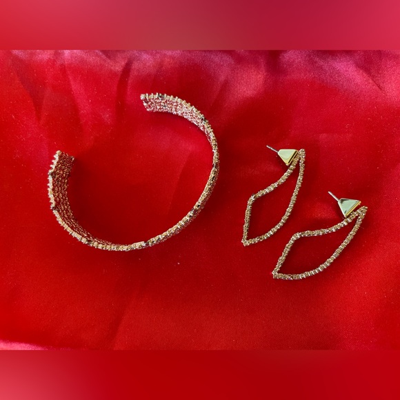 Alexis Bittar Earrings. - Picture 12 of 12